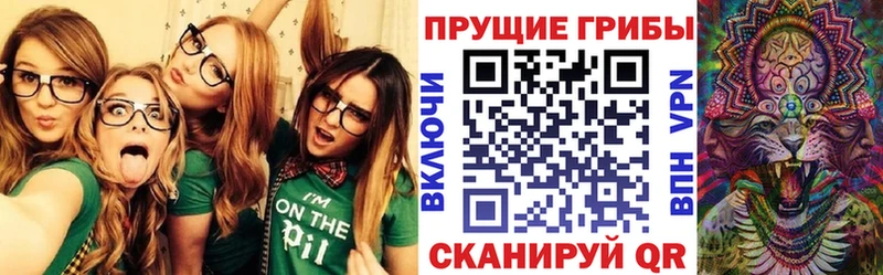 Псилоцибиновые грибы ЛСД  Северо-Курильск 